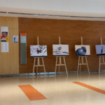 Olimpiada Znajomości Afryki-zdjęcie nr 4