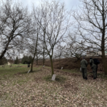 Plac katyński 2026-zdjęcie nr 2